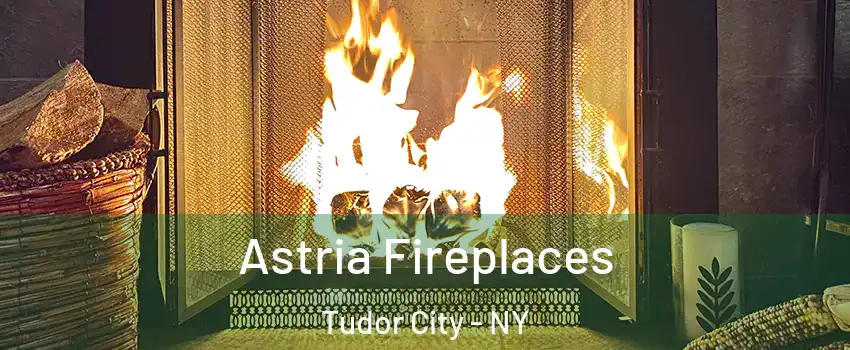 Astria Fireplaces Tudor City - NY