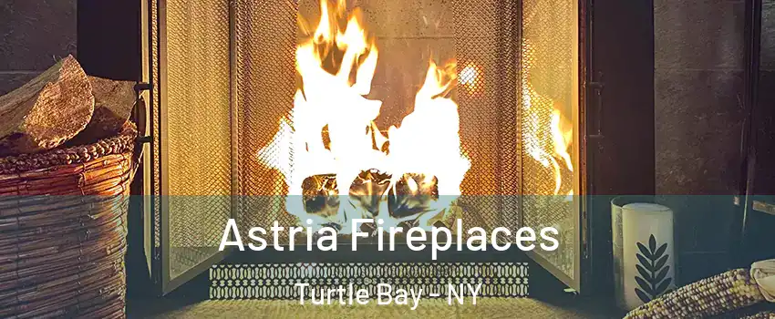 Astria Fireplaces Turtle Bay - NY