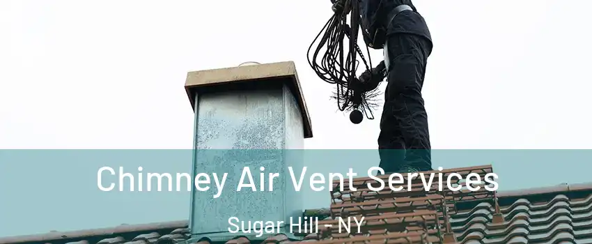 Chimney Air Vent Services Sugar Hill - NY