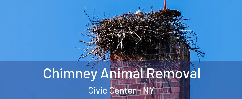 Chimney Animal Removal Civic Center - NY