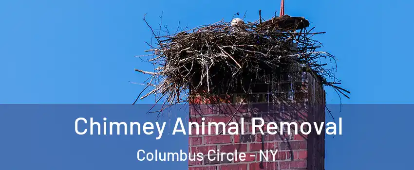 Chimney Animal Removal Columbus Circle - NY
