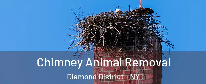 Chimney Animal Removal Diamond District - NY