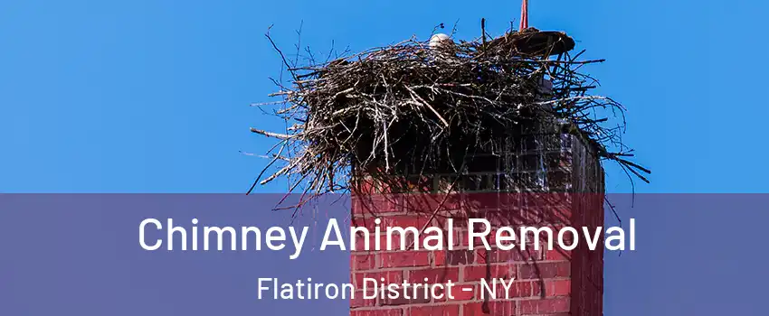 Chimney Animal Removal Flatiron District - NY