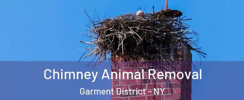 Chimney Animal Removal Garment District - NY