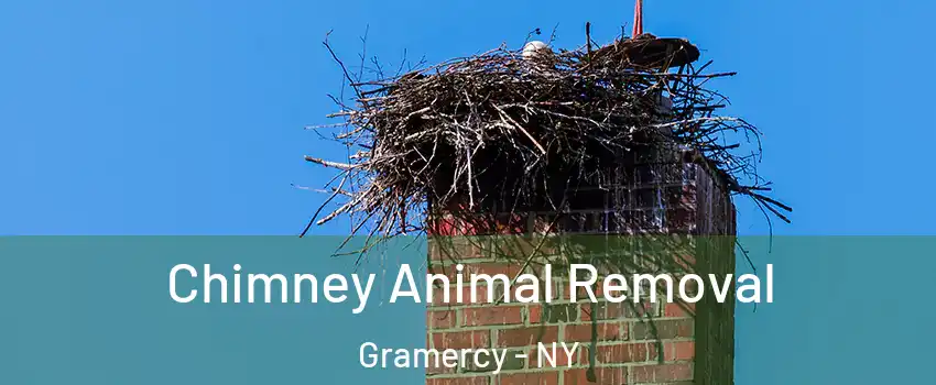 Chimney Animal Removal Gramercy - NY