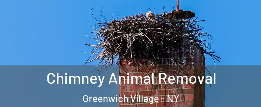 Chimney Animal Removal Greenwich Village - NY