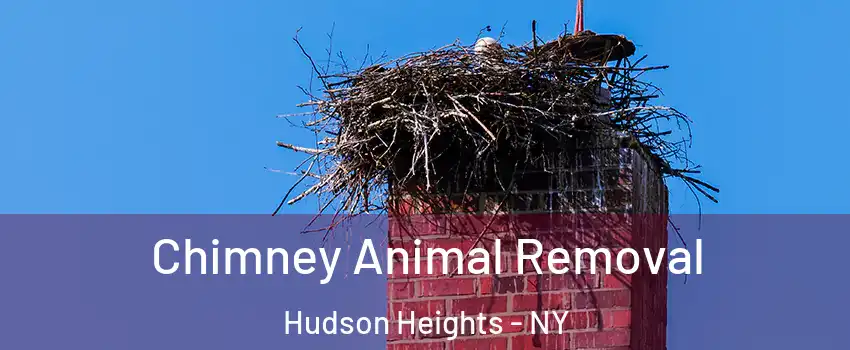 Chimney Animal Removal Hudson Heights - NY