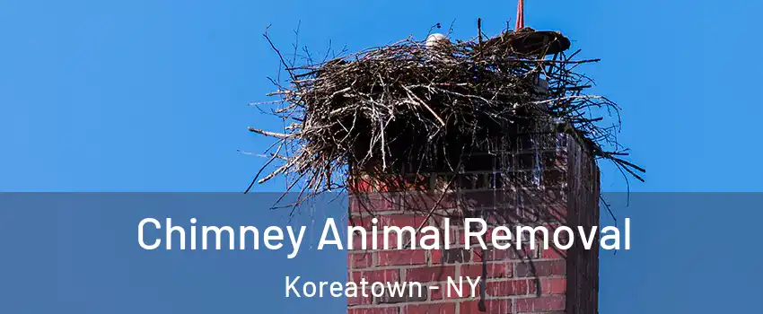 Chimney Animal Removal Koreatown - NY