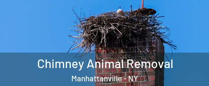 Chimney Animal Removal Manhattanville - NY