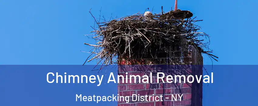 Chimney Animal Removal Meatpacking District - NY