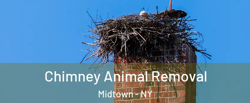 Chimney Animal Removal Midtown - NY