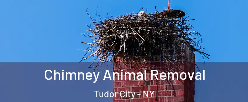 Chimney Animal Removal Tudor City - NY