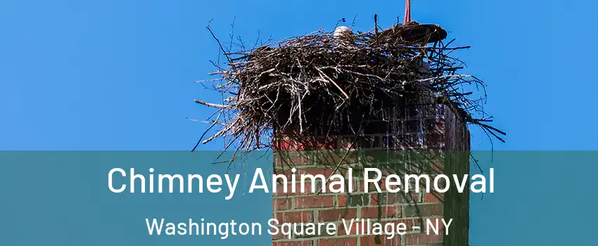 Chimney Animal Removal Washington Square Village - NY