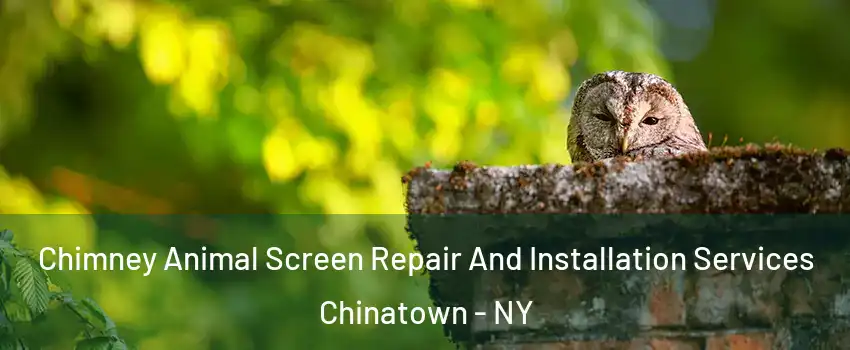 Chimney Animal Screen Repair And Installation Services Chinatown - NY