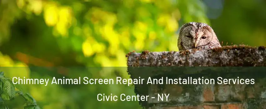 Chimney Animal Screen Repair And Installation Services Civic Center - NY