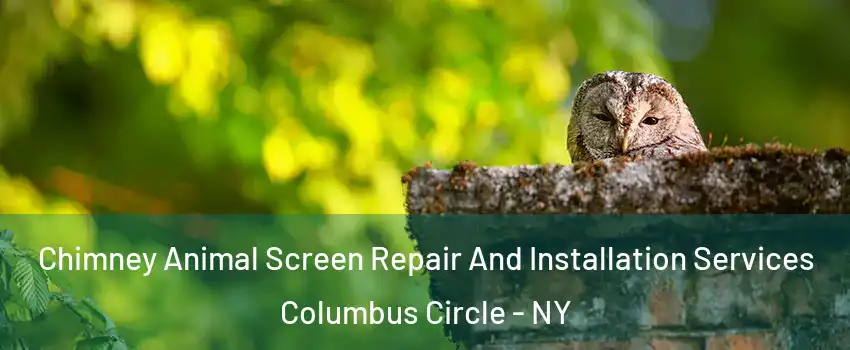Chimney Animal Screen Repair And Installation Services Columbus Circle - NY