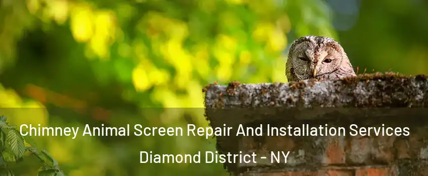 Chimney Animal Screen Repair And Installation Services Diamond District - NY