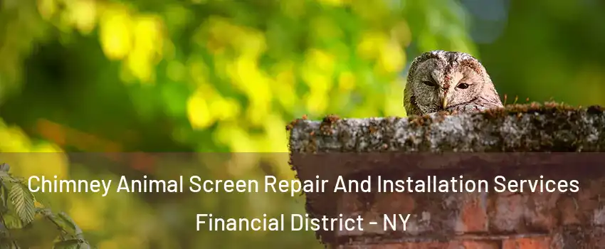 Chimney Animal Screen Repair And Installation Services Financial District - NY