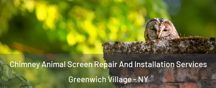 Chimney Animal Screen Repair And Installation Services Greenwich Village - NY
