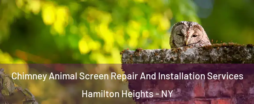 Chimney Animal Screen Repair And Installation Services Hamilton Heights - NY