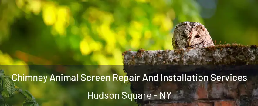 Chimney Animal Screen Repair And Installation Services Hudson Square - NY