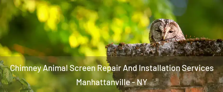 Chimney Animal Screen Repair And Installation Services Manhattanville - NY