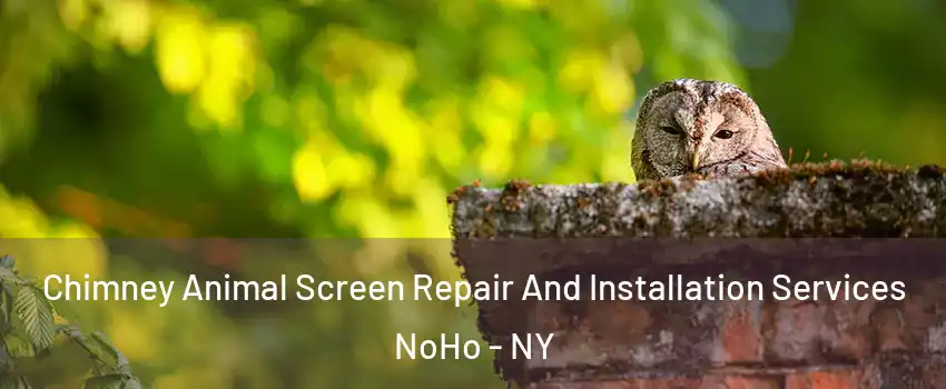 Chimney Animal Screen Repair And Installation Services NoHo - NY