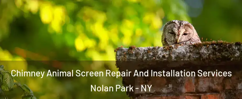 Chimney Animal Screen Repair And Installation Services Nolan Park - NY