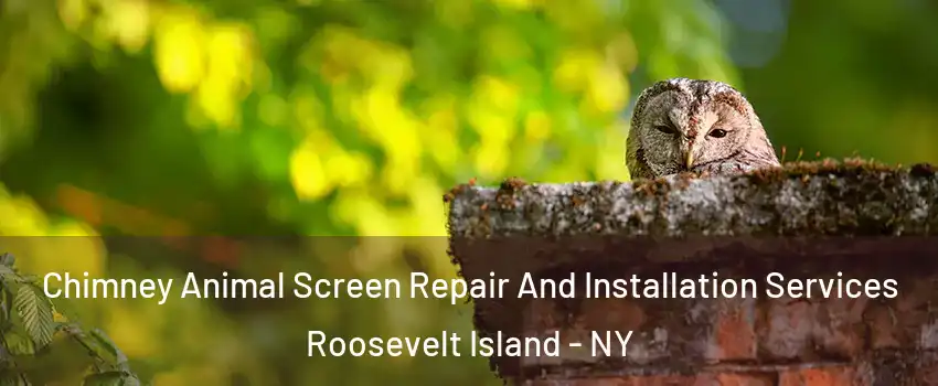 Chimney Animal Screen Repair And Installation Services Roosevelt Island - NY