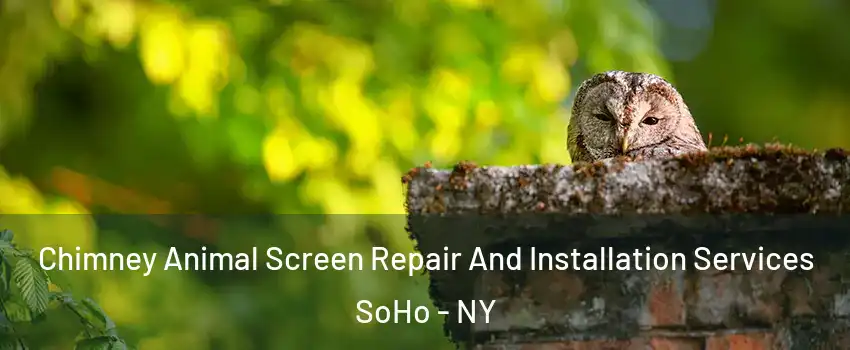 Chimney Animal Screen Repair And Installation Services SoHo - NY