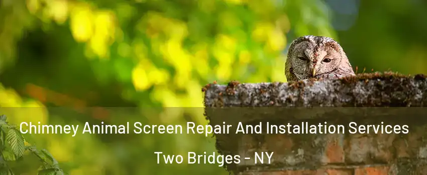 Chimney Animal Screen Repair And Installation Services Two Bridges - NY