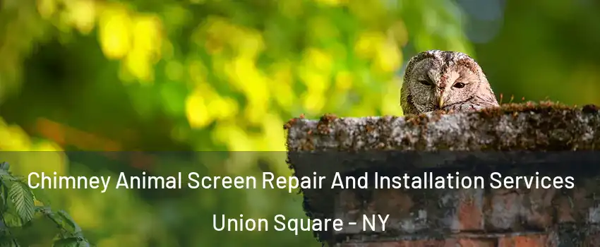 Chimney Animal Screen Repair And Installation Services Union Square - NY