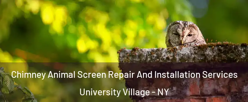 Chimney Animal Screen Repair And Installation Services University Village - NY