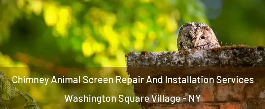 Chimney Animal Screen Repair And Installation Services Washington Square Village - NY