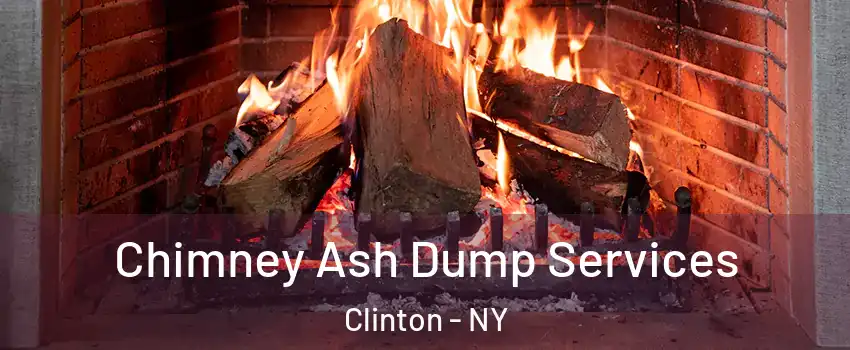 Chimney Ash Dump Services Clinton - NY
