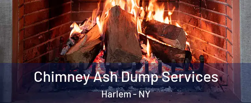 Chimney Ash Dump Services Harlem - NY