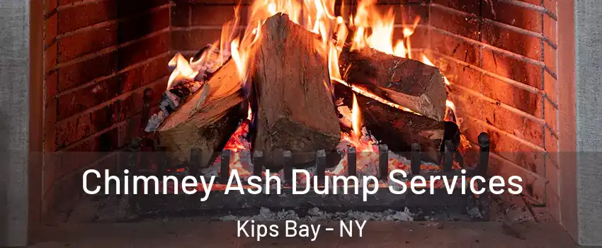 Chimney Ash Dump Services Kips Bay - NY