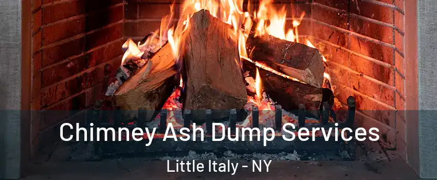 Chimney Ash Dump Services Little Italy - NY