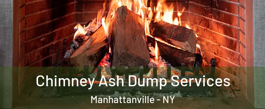 Chimney Ash Dump Services Manhattanville - NY