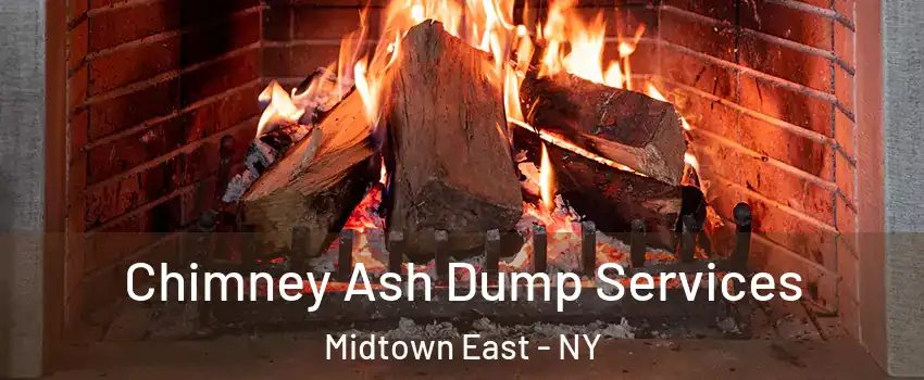 Chimney Ash Dump Services Midtown East - NY