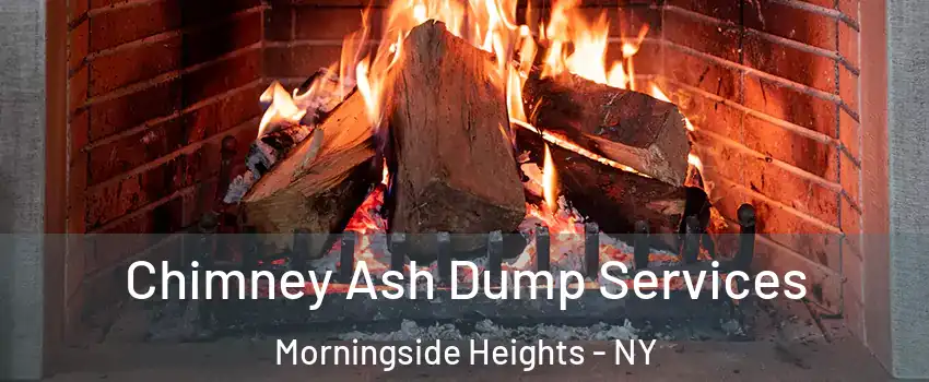 Chimney Ash Dump Services Morningside Heights - NY