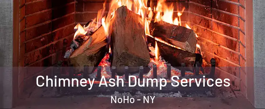 Chimney Ash Dump Services NoHo - NY