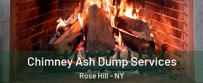 Chimney Ash Dump Services Rose Hill - NY