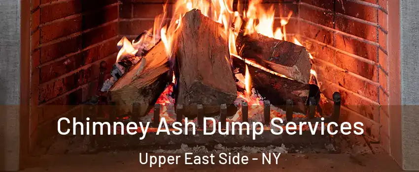 Chimney Ash Dump Services Upper East Side - NY