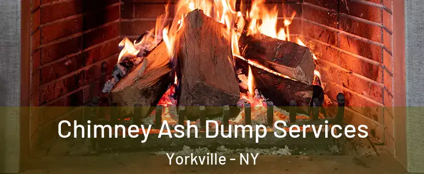 Chimney Ash Dump Services Yorkville - NY