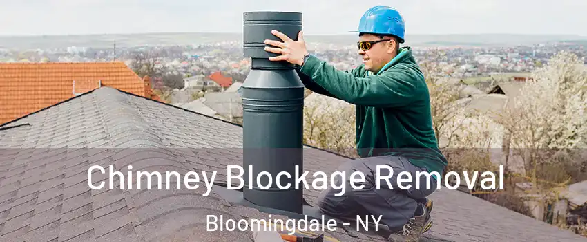 Chimney Blockage Removal Bloomingdale - NY