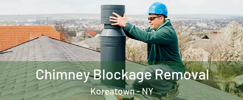 Chimney Blockage Removal Koreatown - NY