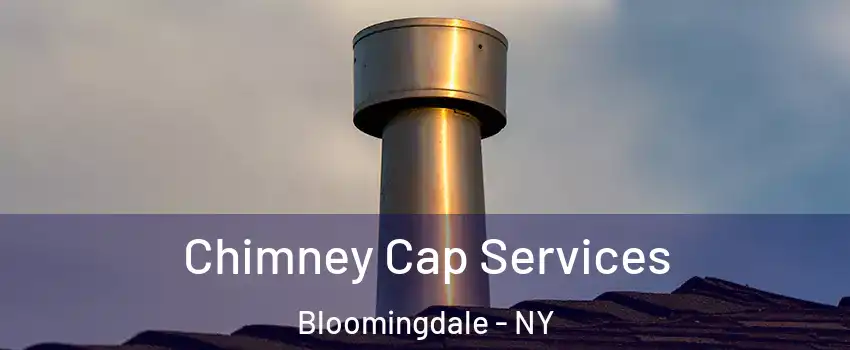 Chimney Cap Services Bloomingdale - NY