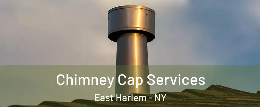 Chimney Cap Services East Harlem - NY