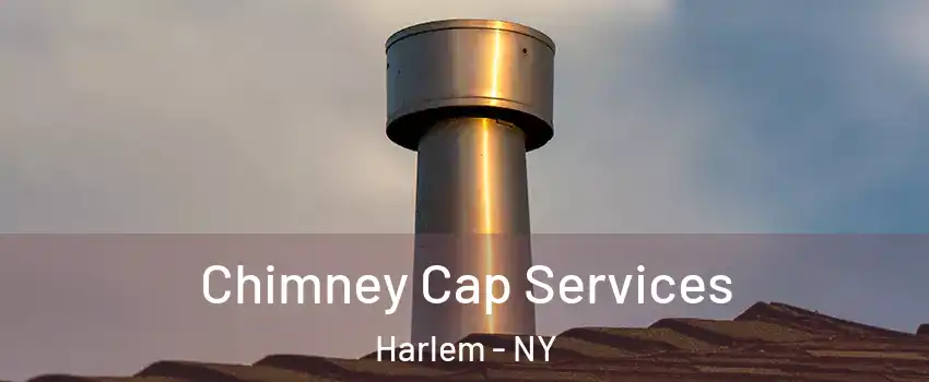 Chimney Cap Services Harlem - NY